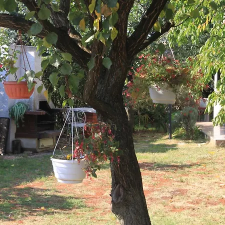 Apartamento 7171a